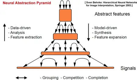Information flow in the Neural Abstraction Pyramid