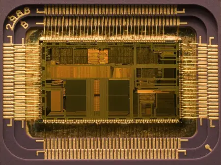 لقطة مقربة لشريحة Intel 80486DX2 داخل غلافها، ويبلغ الحجم الفعلي للشريحة في المنتصف 12×6.75 مم.